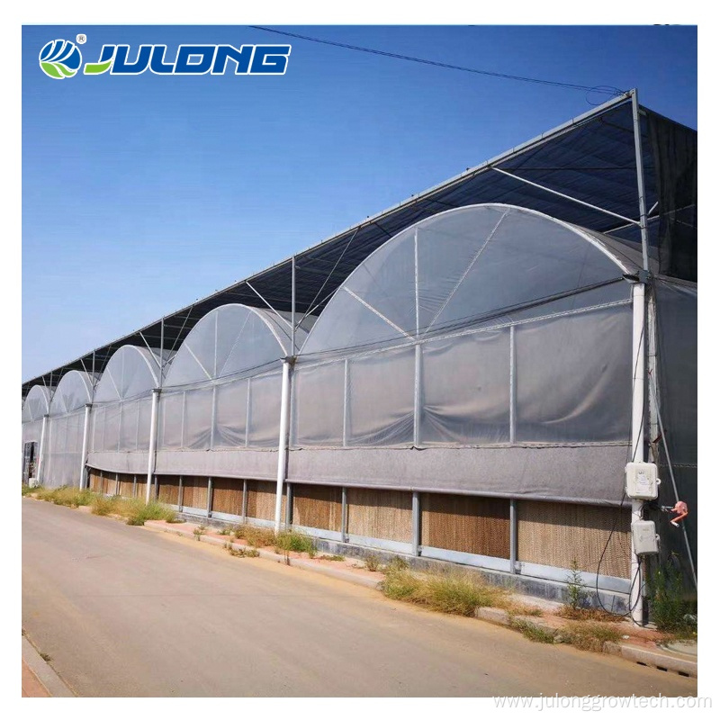 multi-span film greenhouse with hydroponic system