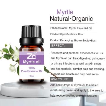 Melhor qualidade de myrtle ole puro natural grau terapêutico