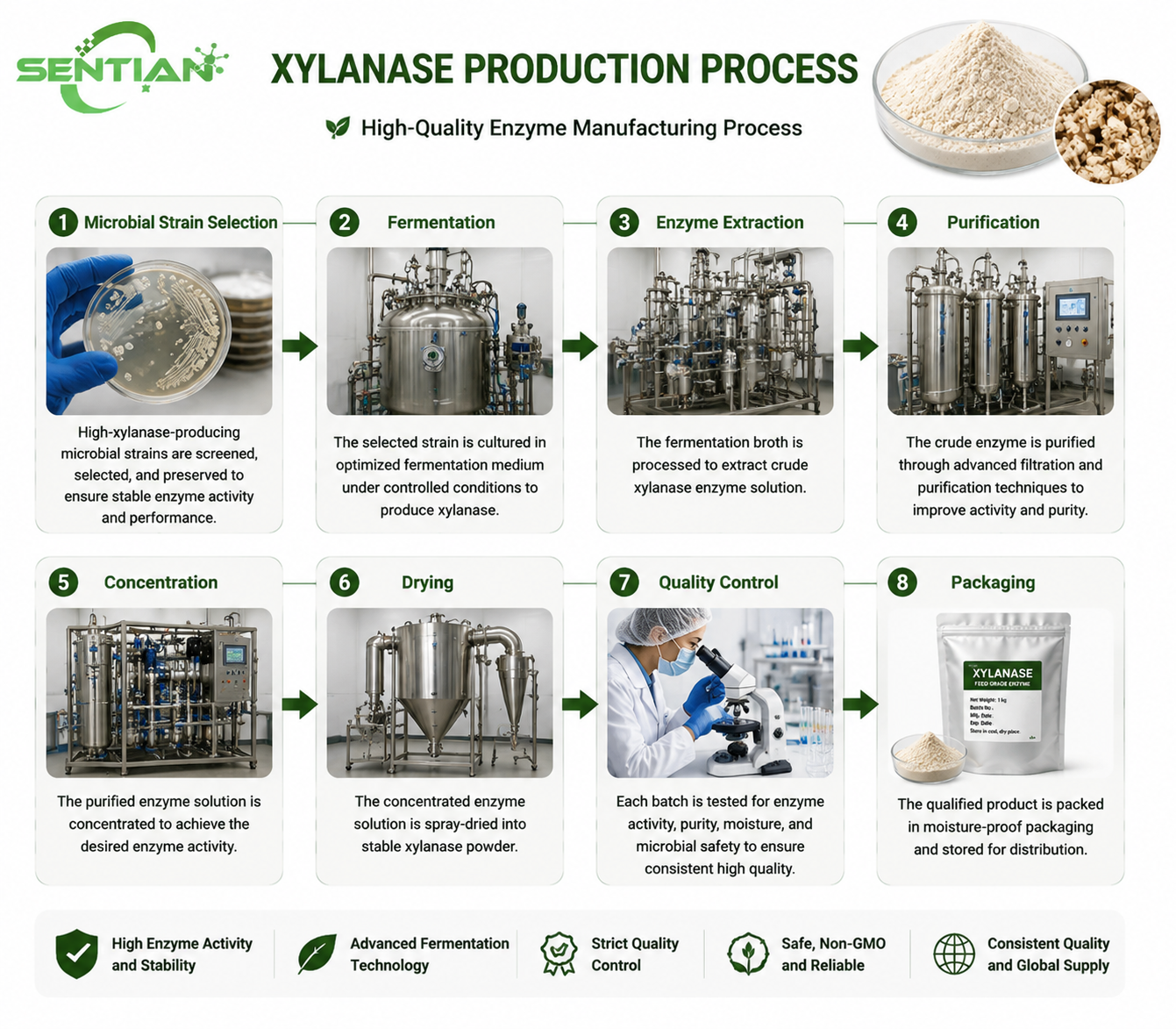 Xylanase（1）