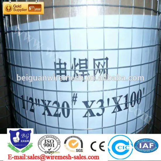 high quality but low price galvanized Welded Wire Mesh
