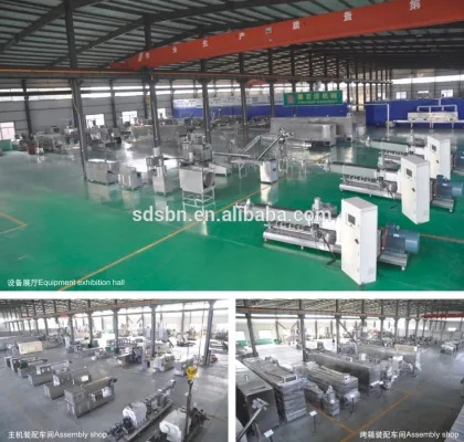 Newest Designed CE Certificated Nik Naks Machines