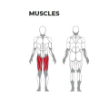 Gim komersial duduk di perut/lanjutan belakang