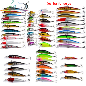 Comprehensive 56-Piece Fishing Lure Set: Diverse Collection of Bait, Crankbaits, Swimbaits, Minnows, Hard Baits, Spinners, and Hooks for Carp Fishing
