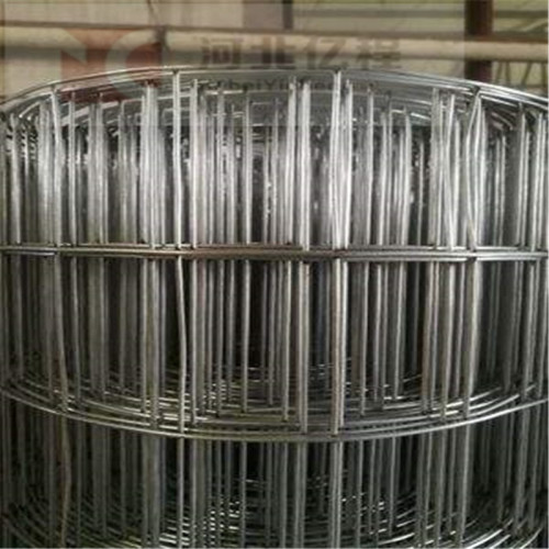 Galvanized welded single wire mesh panel for supermarket