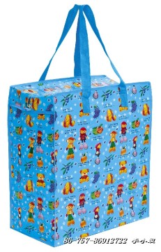 pp wovern shopping bag
