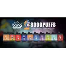 Blueberry Ice Bang King 8000 vape pennen