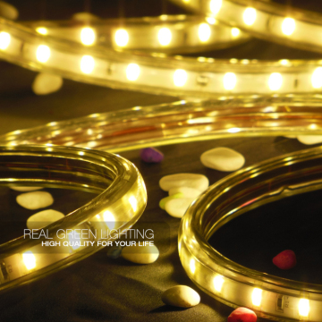 110V/220V High Brightness SMD 5730 LED Strip Light