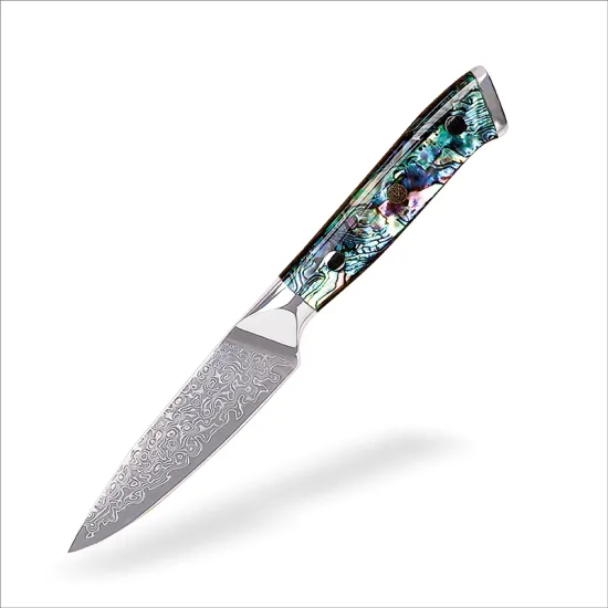 Professional 3.5 Inch Japan Damascus Steel Paring & Fruit Carving Knife