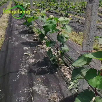 Black weed control fabric for garden