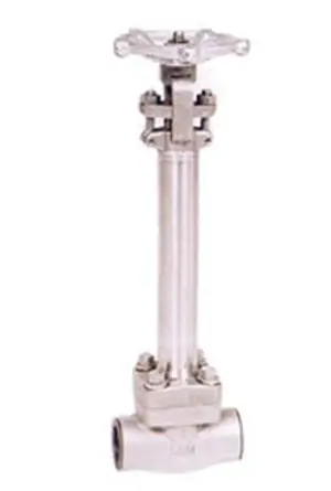 Low temperature forged steel gate valve