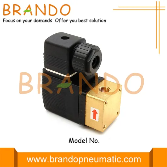 Type 6013 2/2 Way Direct-Acting Plunger Solenoid Valve