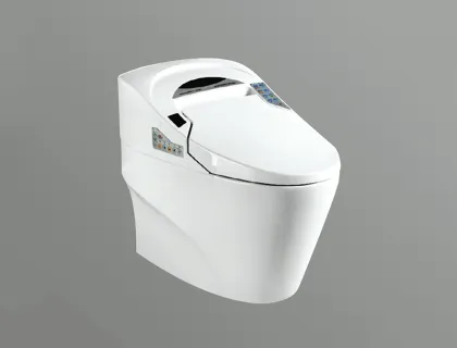 Smart Washdown Toilet JA0212