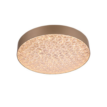 Modern Indoor LED Plastic Ceiling Lights - Round Shape Decorative Panel Lighting