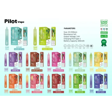 Disposable Vape Pilot Max PRO 6000 Puffs