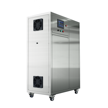 Générateur d'ozone pour piscine commerciale FL-8200A 200 g/h
