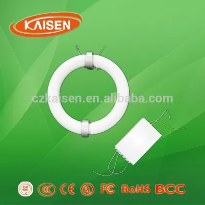 80W price induction lamp energy saving induction down light