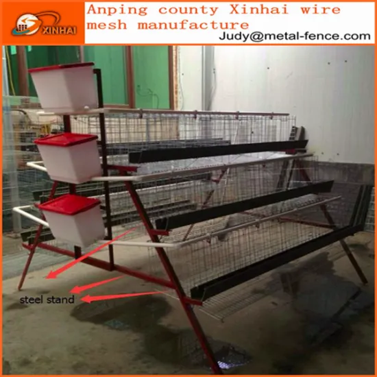 poultry layer chicken cage for sale