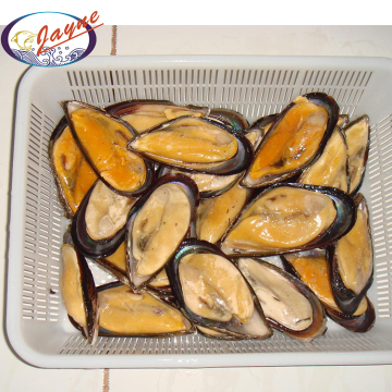 Premium Quality Wholesale Seafood Supplier Frozen Mussels For Sale In Cheap Price
