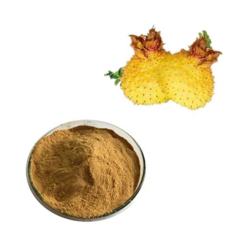 Natural Rosa Roxburghii Extract