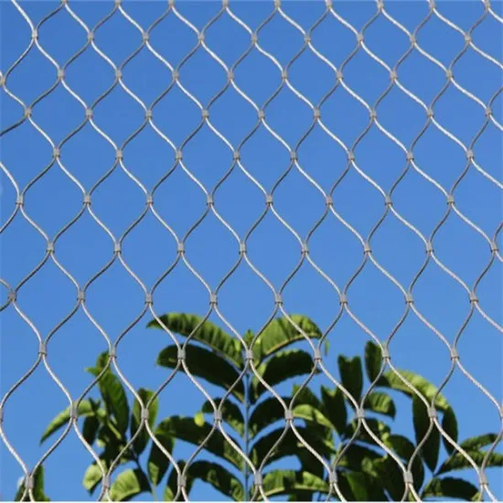 professional zoo fencing(high quality,low price)