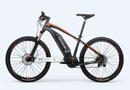 Customized Specialized Electric Mtb