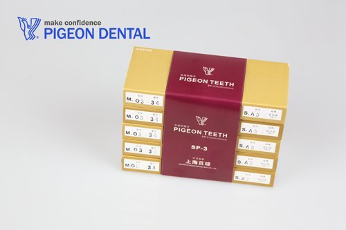 PIGEON SP-3 3layer FullSet Denture Teeth 1set