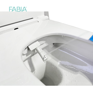 Automatic Flush Intelligent Smart Bidet Toilet