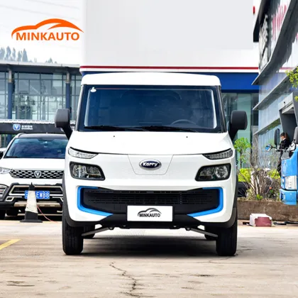 Dolphin EV Energy Electric City Logistics Vehicle On Sale