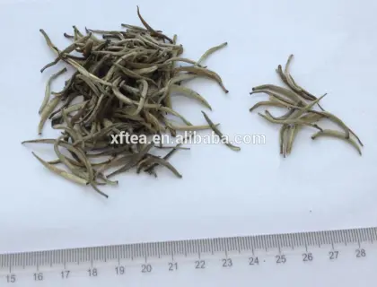 organic white tea