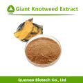 Precio en polvo de extracto de rizoma de Knotweed gigante