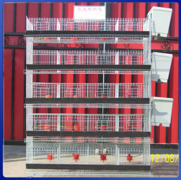 Egg layer quail cage