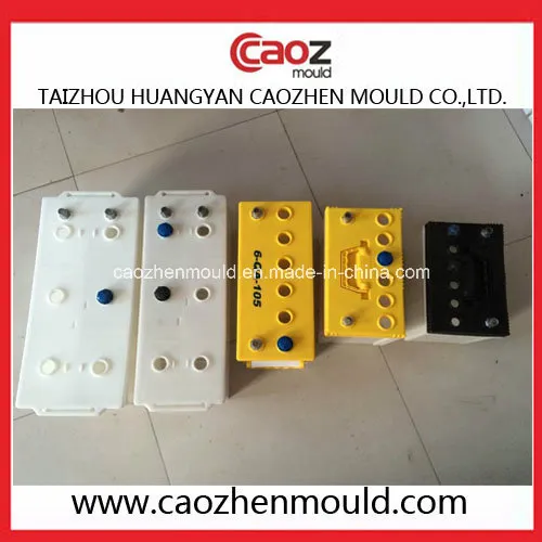 Plastic Automotive Battery Case Mould in China