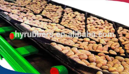 Chevron conveyor belt