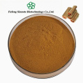 Natural Cinnamon Bark Extract Supports Blood Sugar Levels
