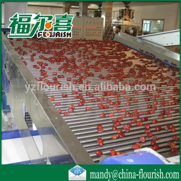 Full automatic industrial jujube grader equipment price