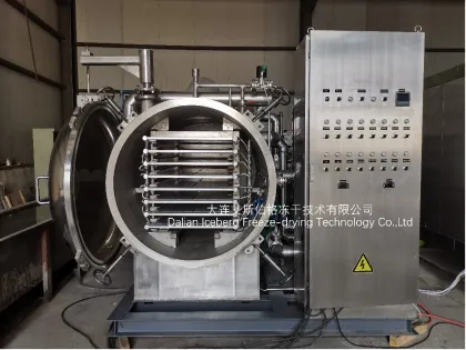 Strawberry Fruit Freeze-drying Machine