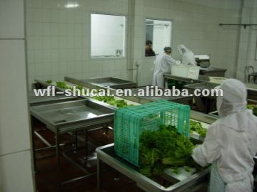 Frozen Vegetable Pre-treatment Production Line