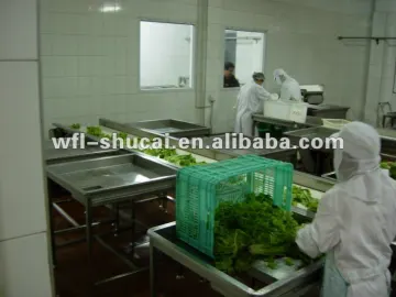Frozen Vegetable Pre-treatment Production Line