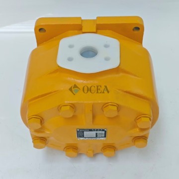 Shantui SD32 bulldozer werkpomp 07446-66103
