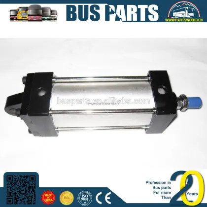 Bus Spare Parts: Luggage Compartment Door with Circular Hole - DFM