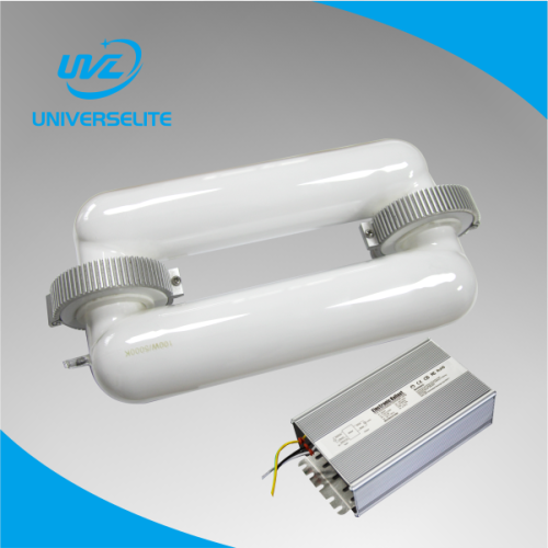 40~400W Induction Lamp and ballast