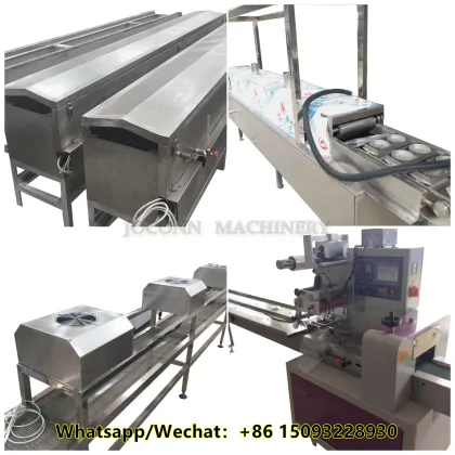 Fried Ramen Noodle Processing Line