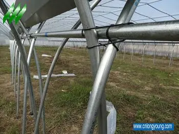 Tunnel-Connected Greenhouse