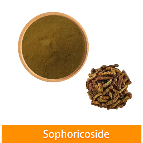 Sophora japonica extrato CAS 152-95-4 98% Sophoricoside
