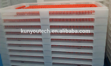 Plastic Drying Trays And Stainless Trolley