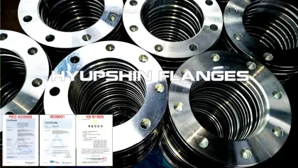 CL D Hub Blind Forging AWWA C207 Flanges
