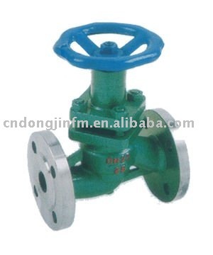 Flanged globe plunger valve