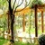 Look!! The beautiful and cosy yard use WPC pergola