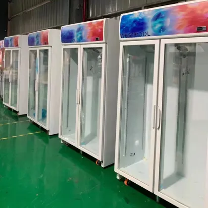 Beverage Refrigerator: Single-Temperature Mini Coca-Cola Fridge