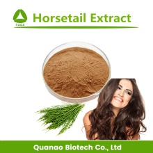 Horsetail Extract Silica 7% Powder Hair Grown